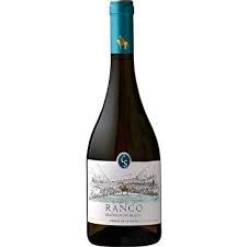 Casa Silva Lago Ranco Patagonian Riesling